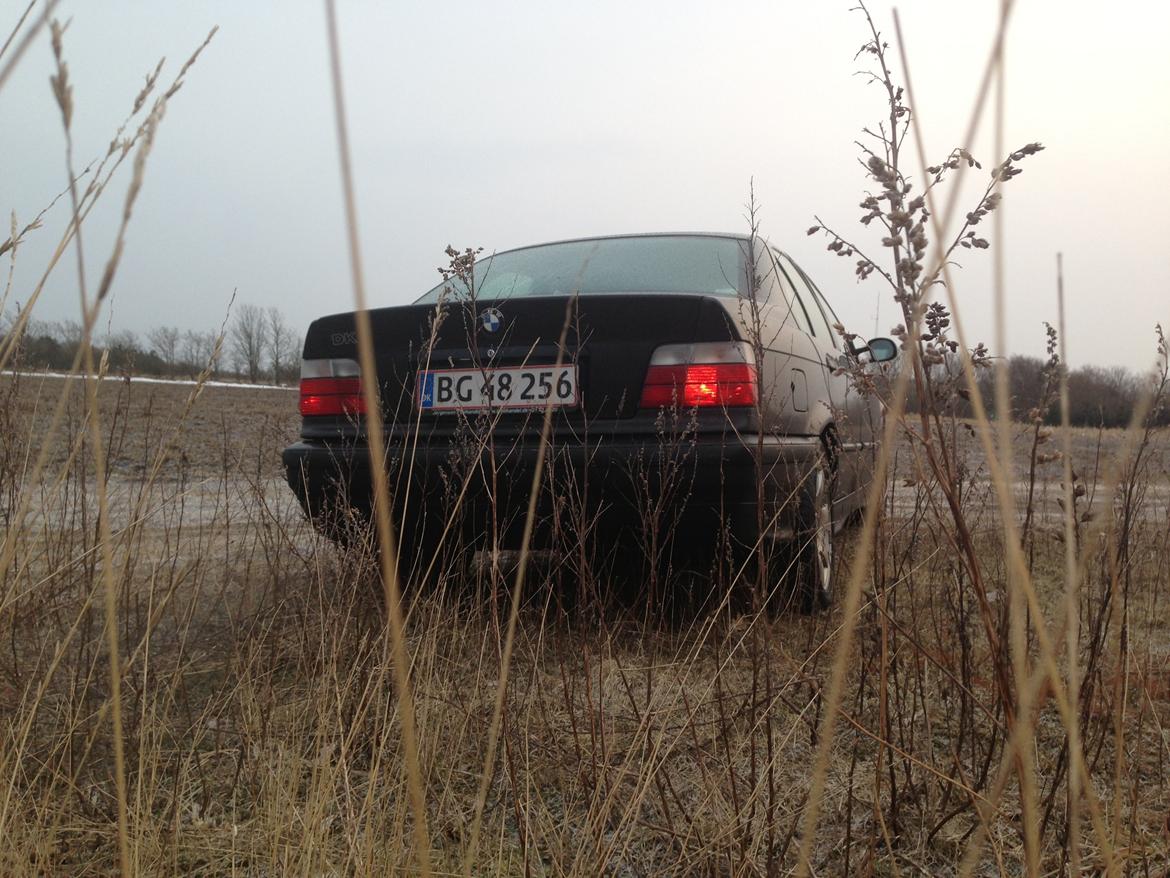 BMW 3 serie E36 316 billede 9