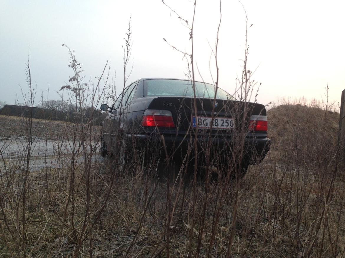 BMW 3 serie E36 316 billede 10