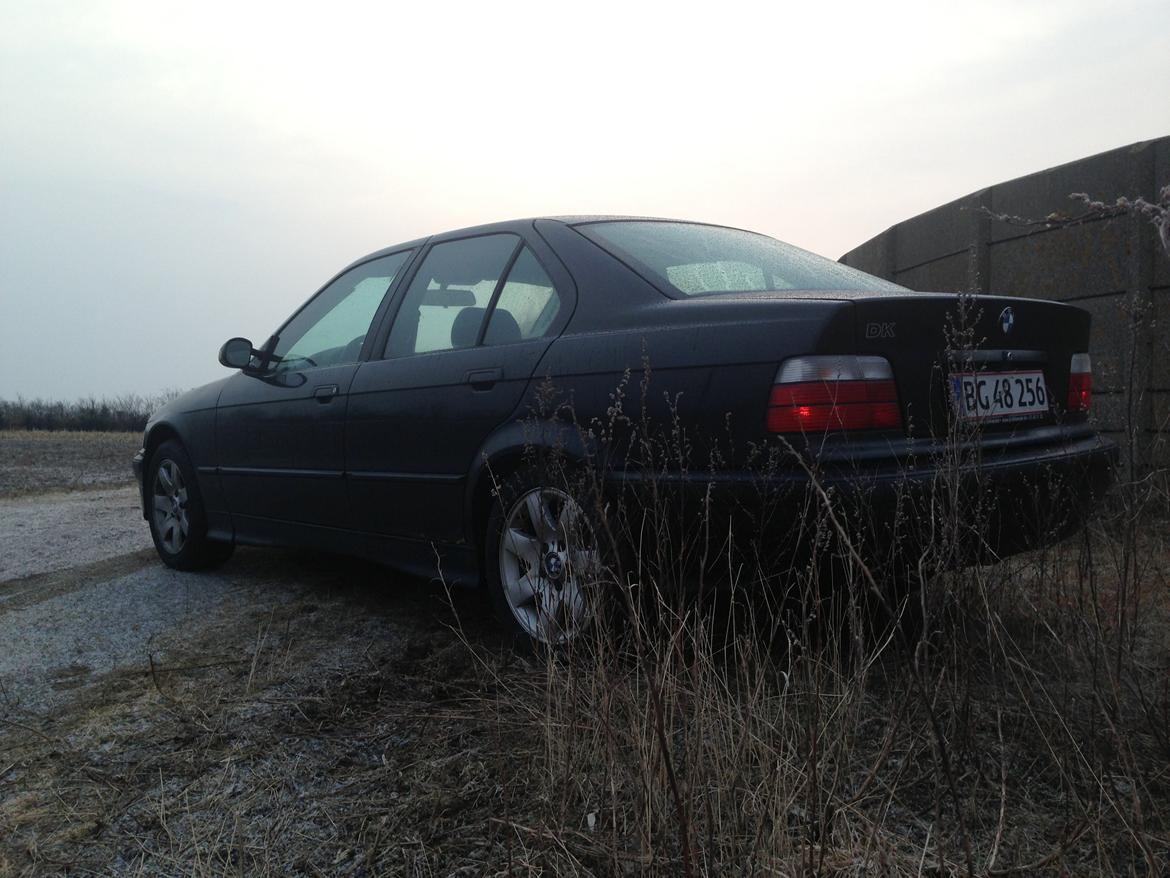 BMW 3 serie E36 316 billede 11