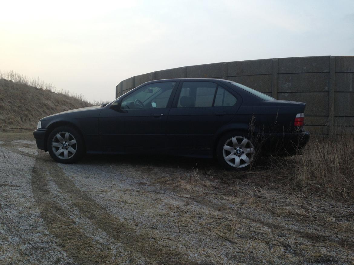 BMW 3 serie E36 316 billede 12