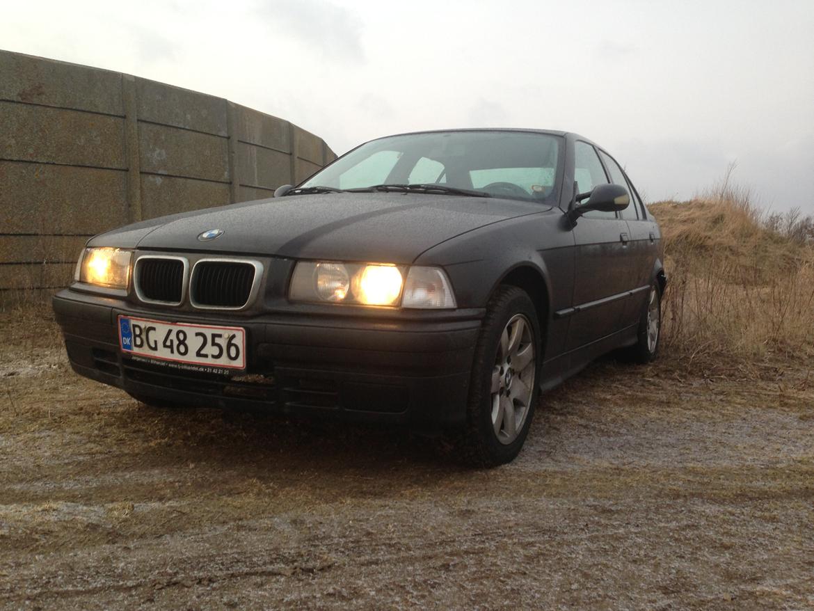 BMW 3 serie E36 316 billede 13