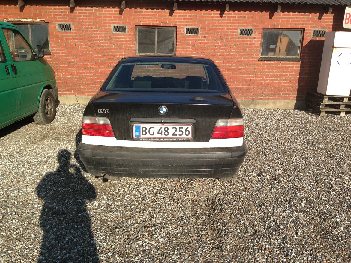 BMW 3 serie E36 316 billede 16