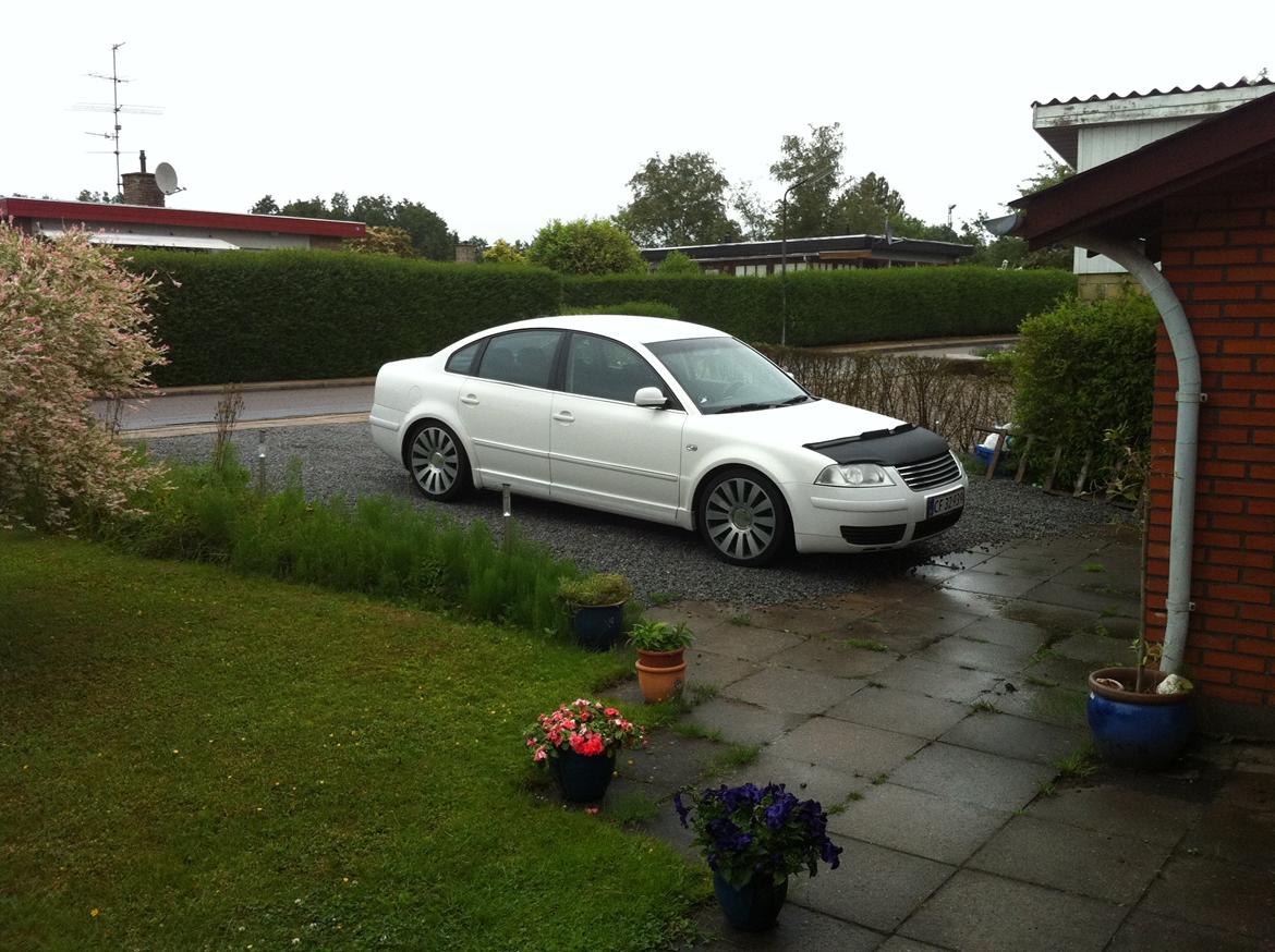 VW Passat 3BG Trendline - Som hun så ud da jeg købte hende. billede 24