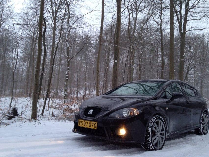 Seat Leon Cupra billede 2