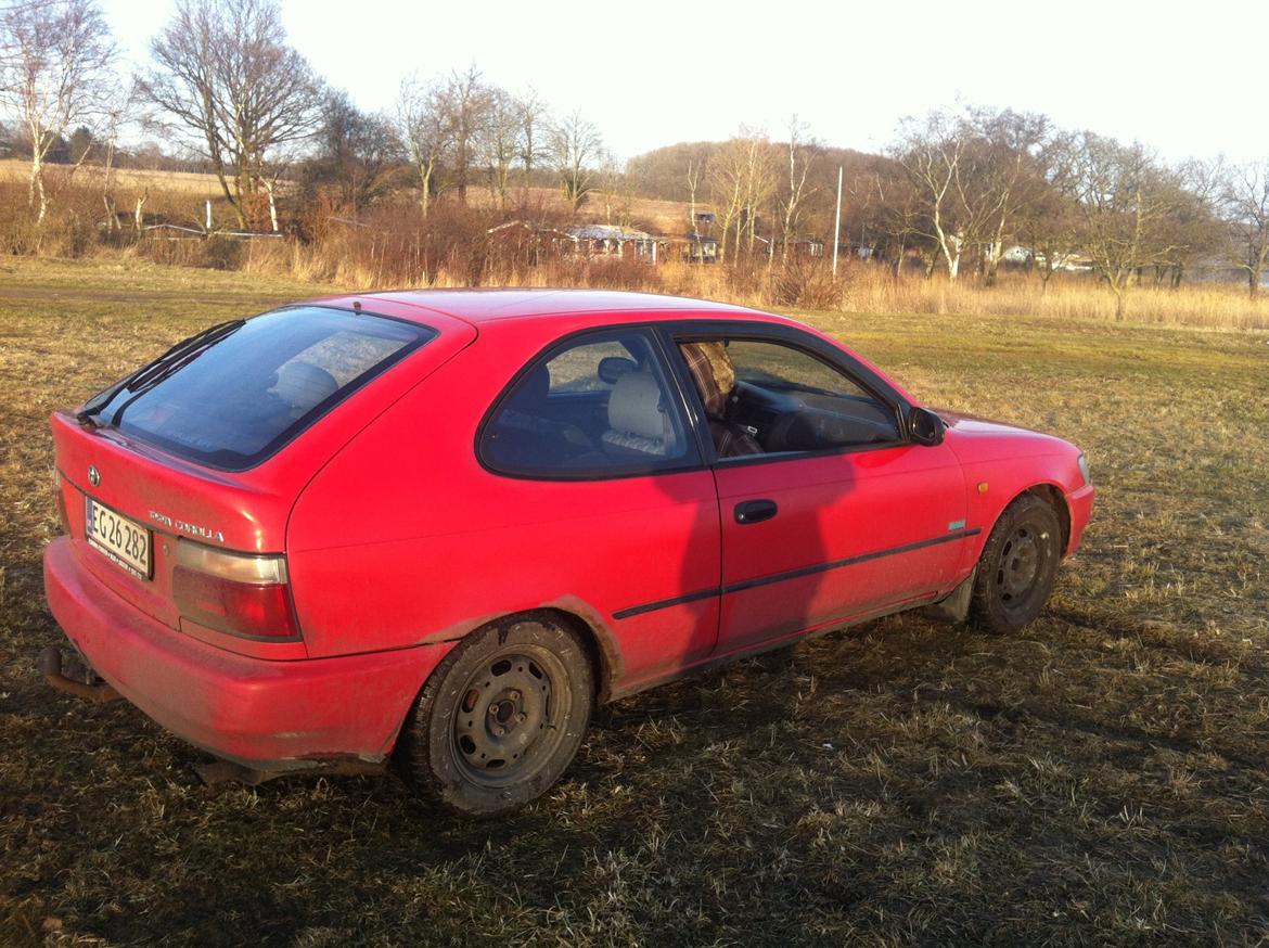 Toyota Corolla E10 xli billede 1