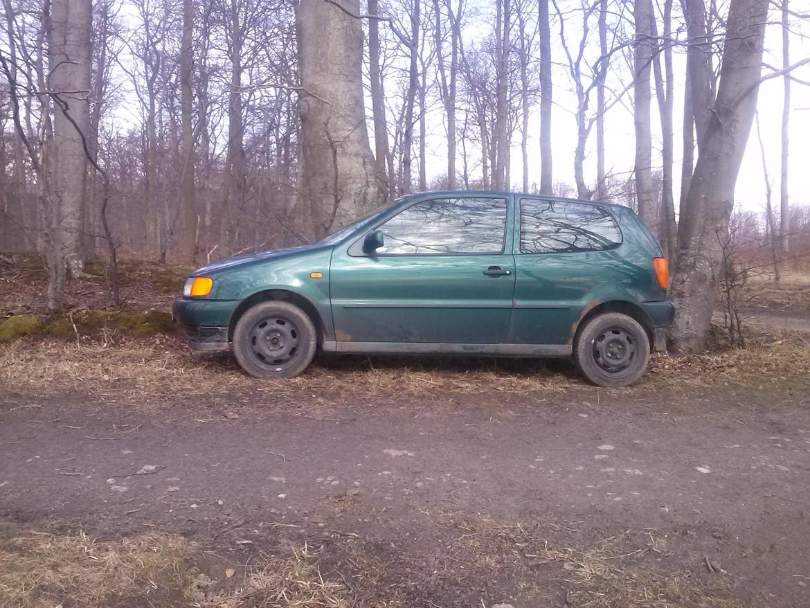 VW polo 1,6 6n ( død ) billede 1