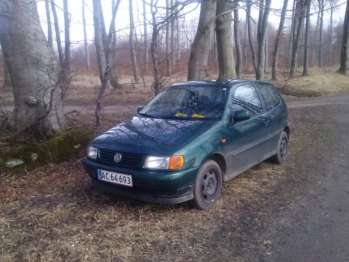 VW polo 1,6 6n ( død ) billede 2