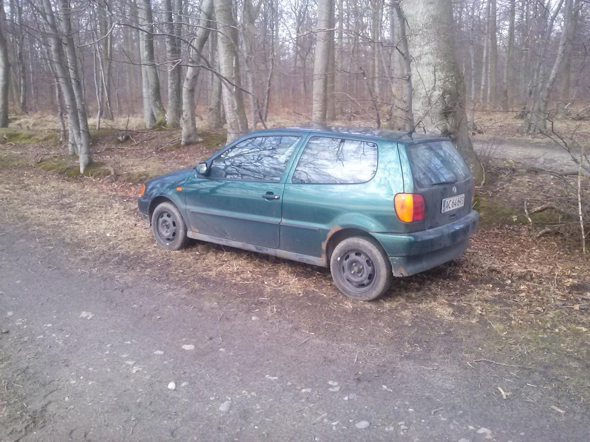 VW polo 1,6 6n ( død ) billede 7