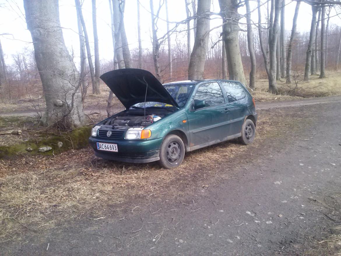 VW polo 1,6 6n ( død ) billede 12