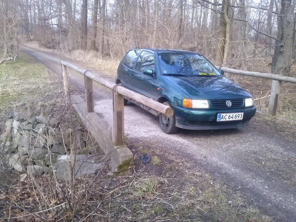 VW polo 1,6 6n ( død ) billede 13