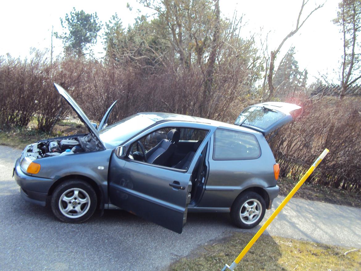 VW polo 6n billede 1