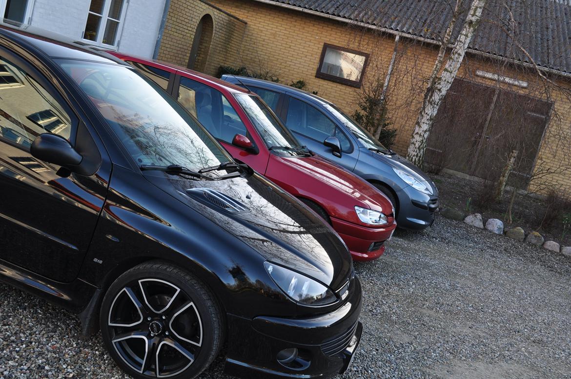 Peugeot 306 - Løvefamilien derhjemme! :D billede 17