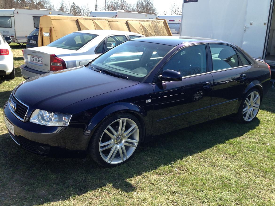 Audi A4 B6  (Solgt) billede 8
