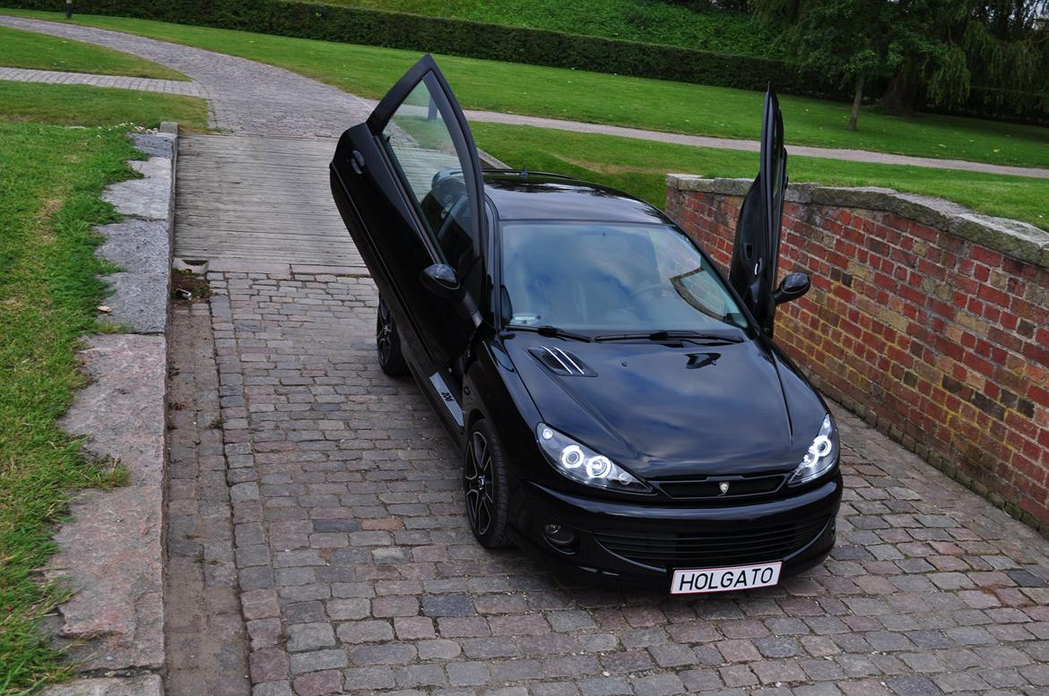 Peugeot 206 S16 - Up we go! billede 13