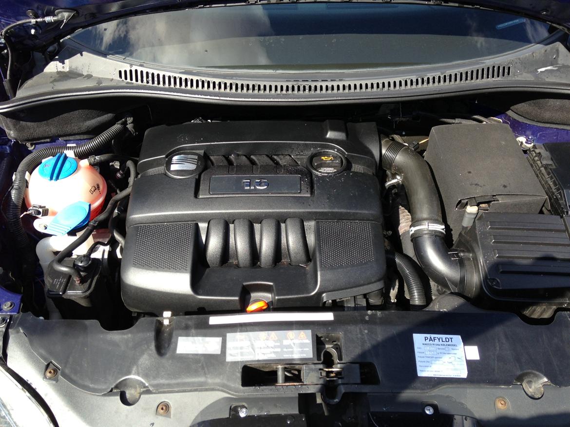 Seat altea billede 7