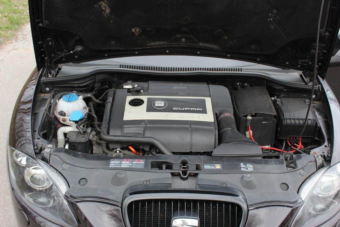 Seat Leon Cupra billede 19