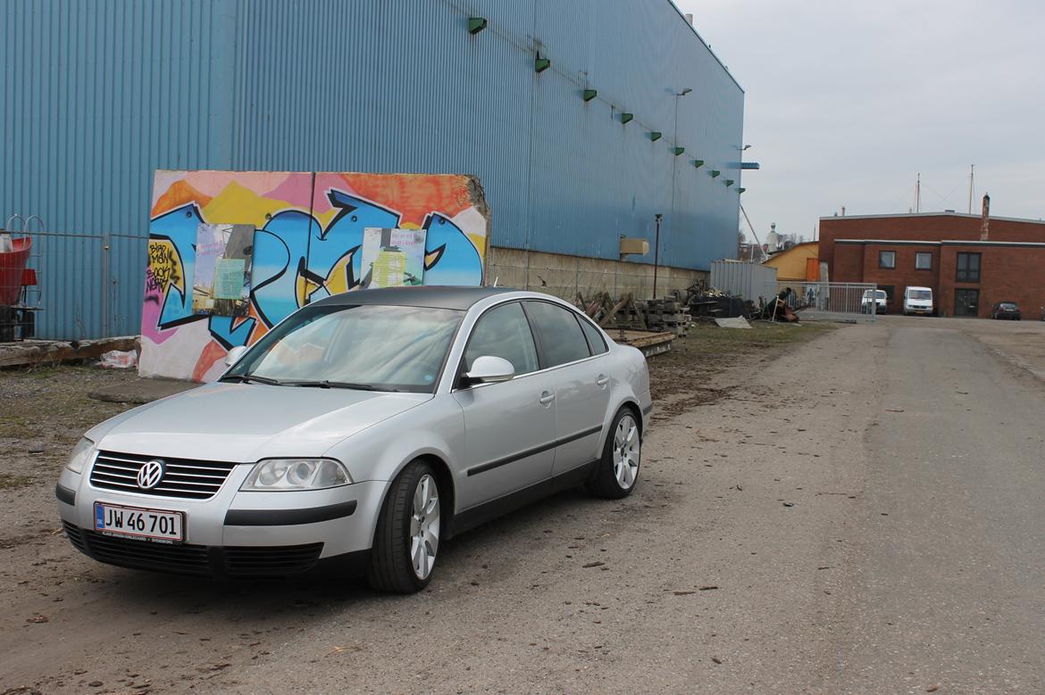 VW Passat  man.limousine billede 10