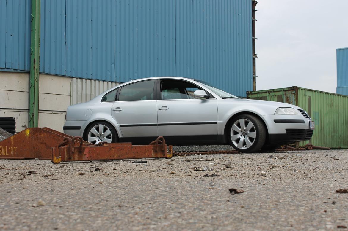 VW Passat  man.limousine billede 15