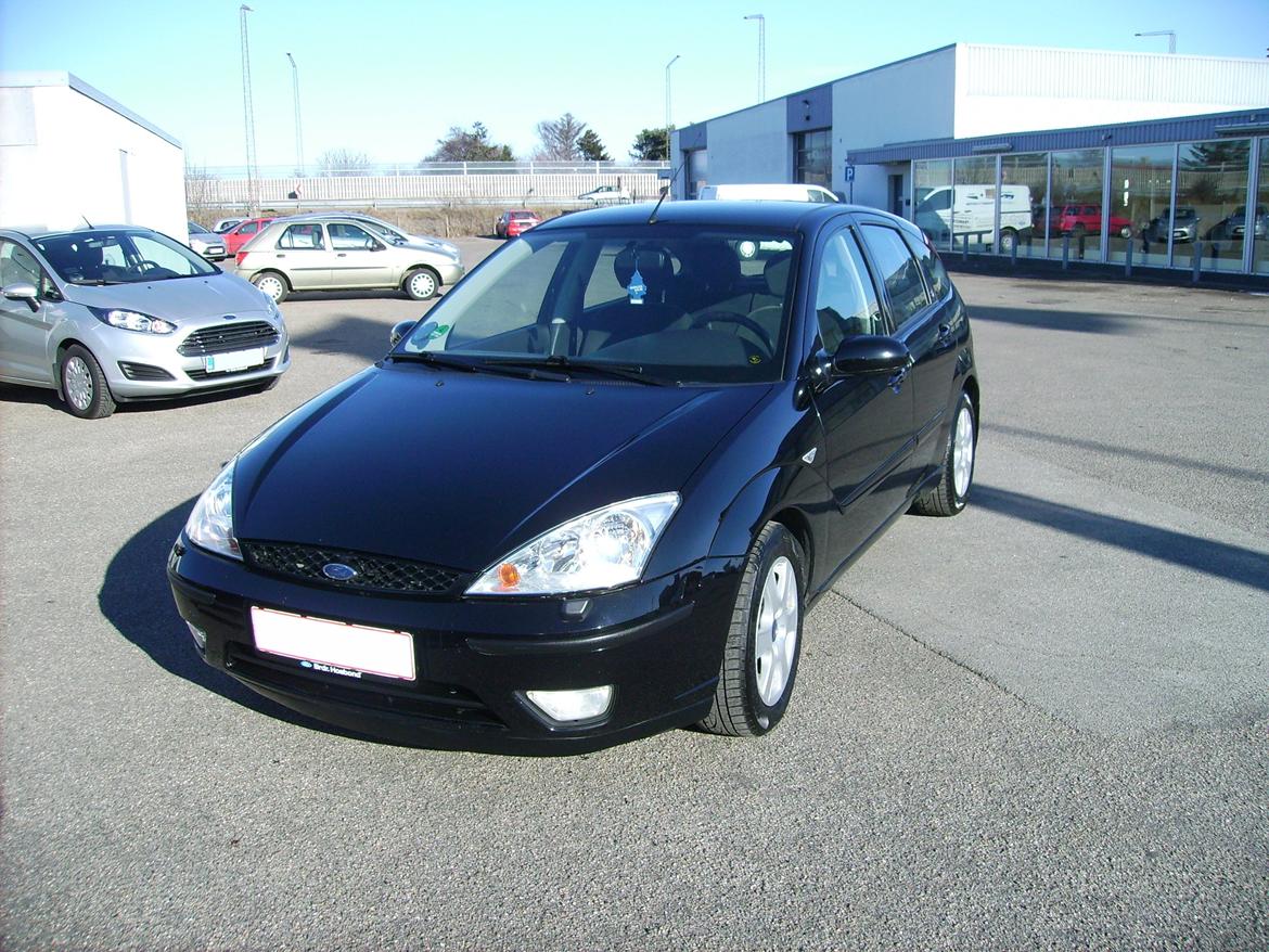 Ford Focus 1.6 Ghia - Efter en gang polish ;) billede 14