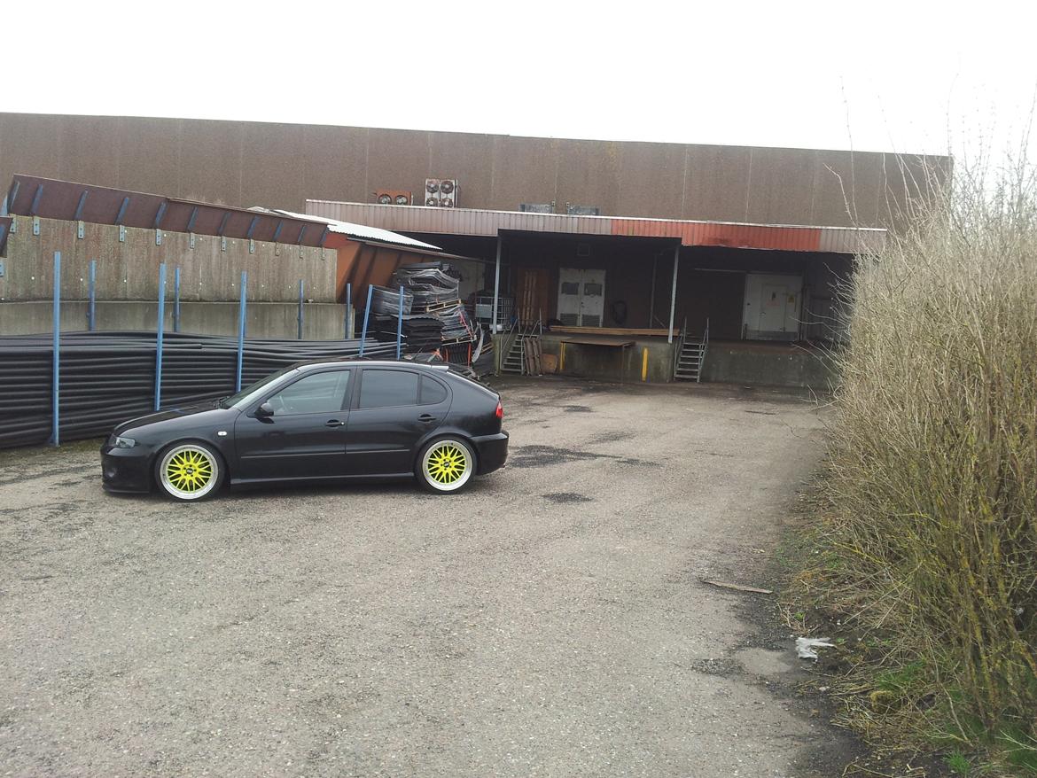 Seat Leon 1,9 TDI 130 Sport billede 3