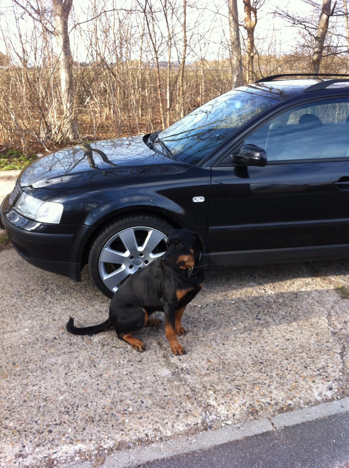 VW Passat 3B5 - Mine 2 babyer sammen. billede 10