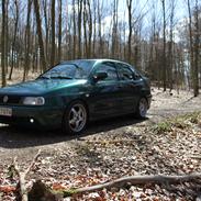 VW polo classic SOLGT