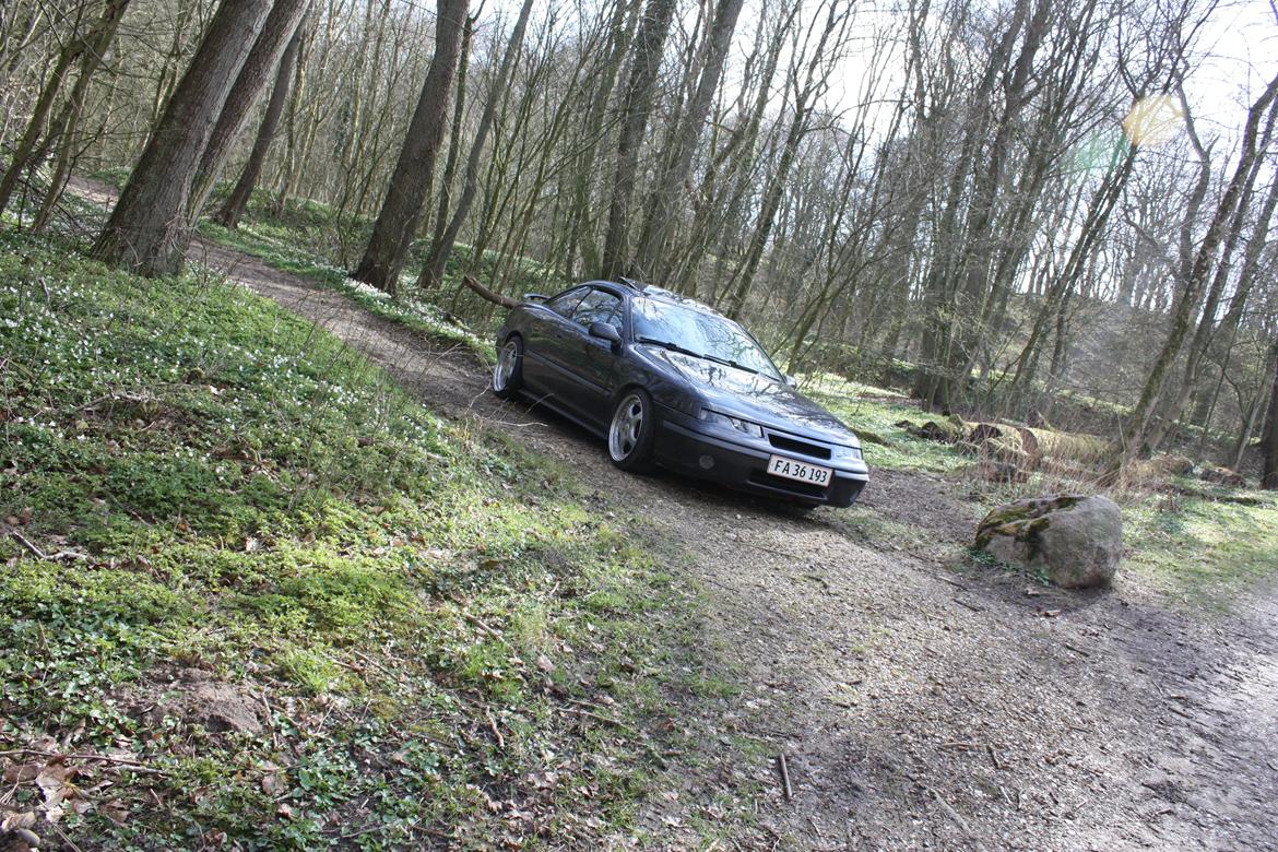 Opel Calibra V6 billede 4