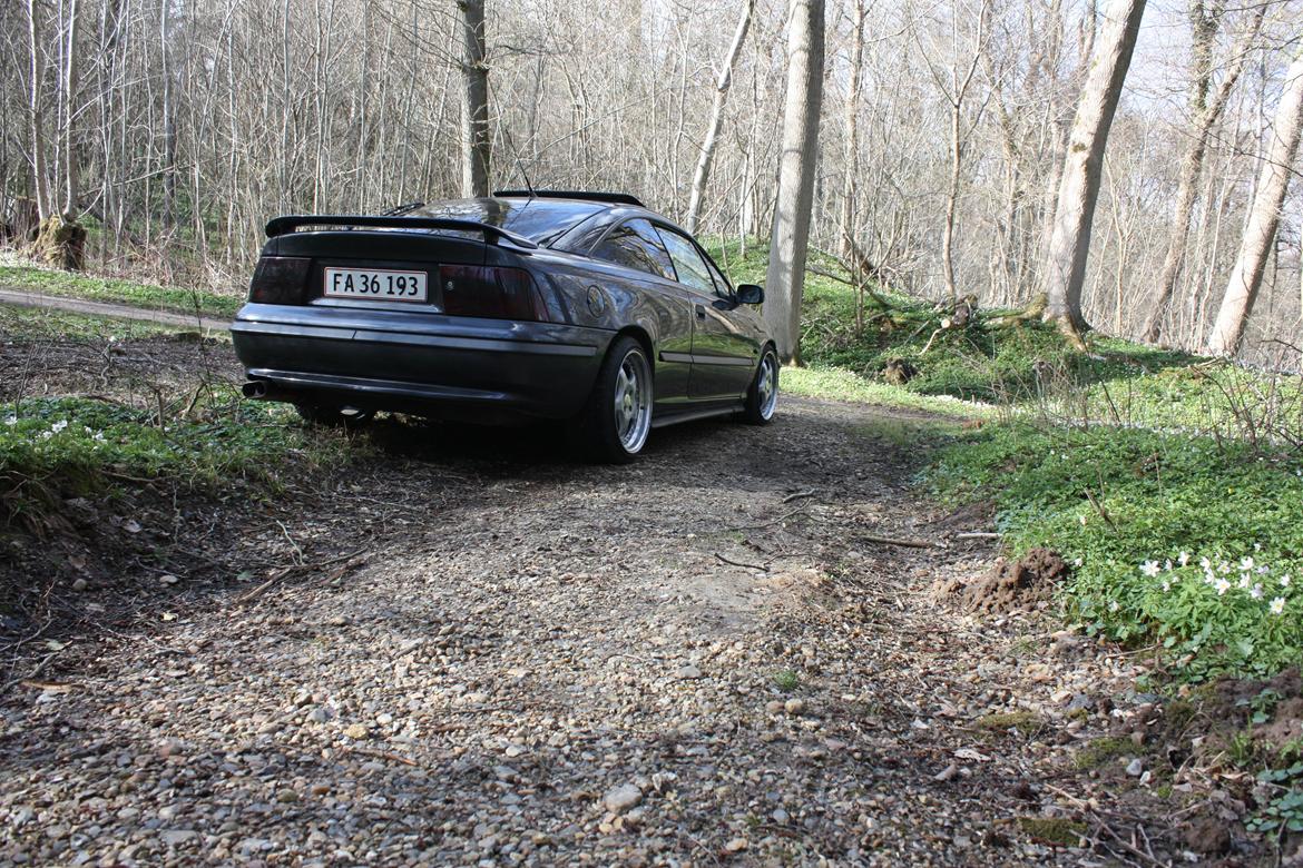 Opel Calibra V6 billede 6