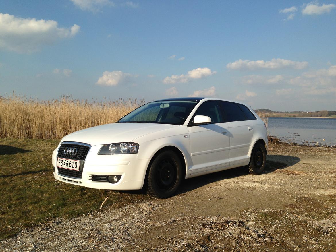 Audi A3 Sportback Perlemorshvid billede 1