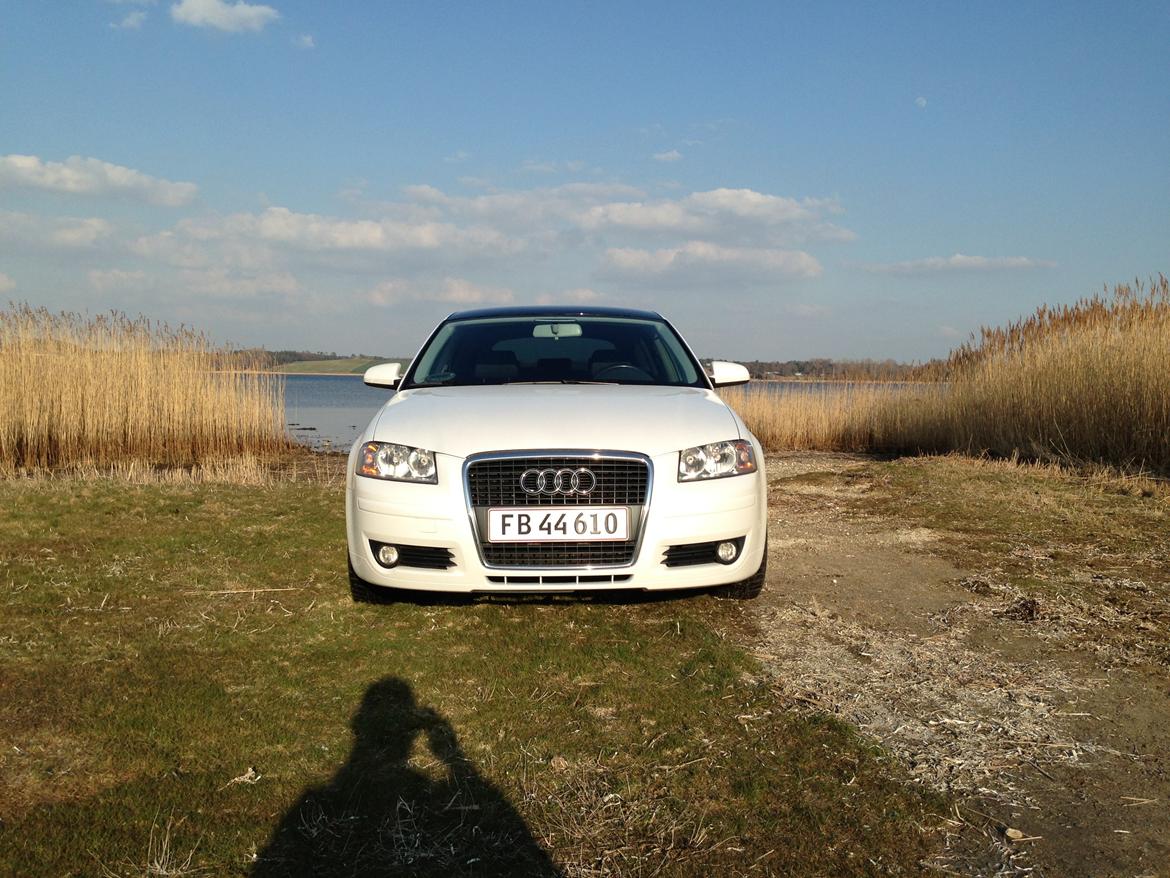 Audi A3 Sportback Perlemorshvid billede 2