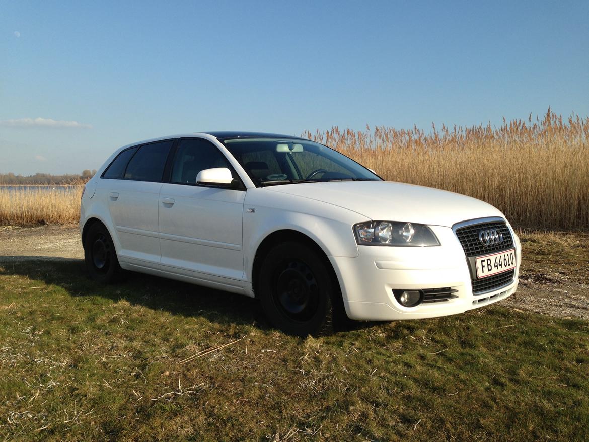 Audi A3 Sportback Perlemorshvid billede 3