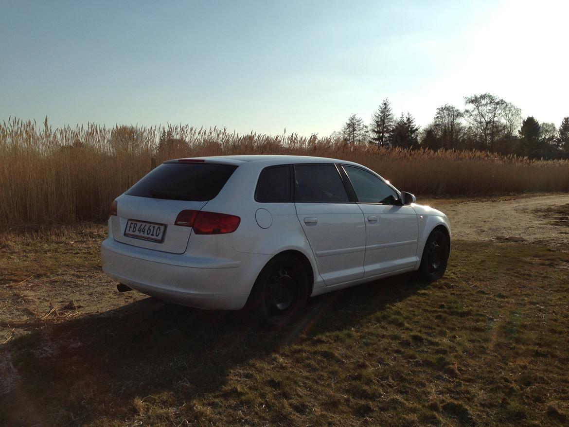 Audi A3 Sportback Perlemorshvid billede 5