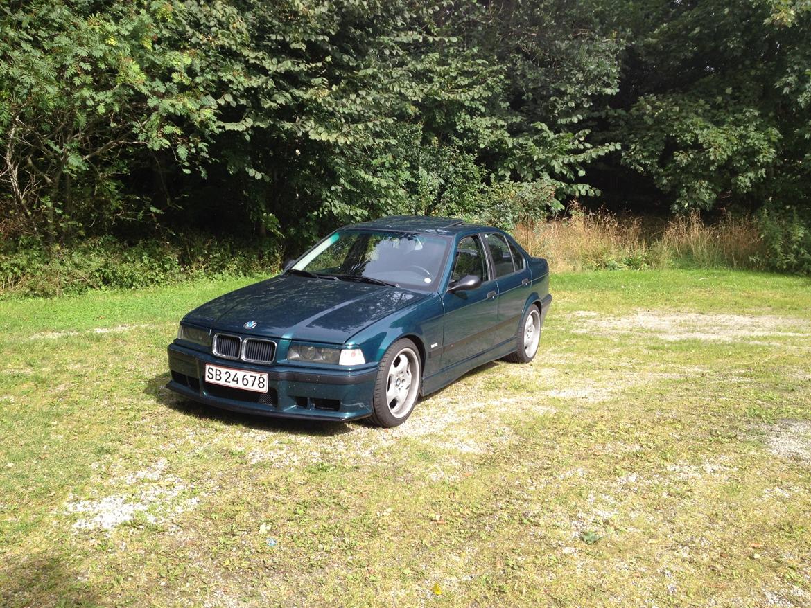 BMW 323i billede 11