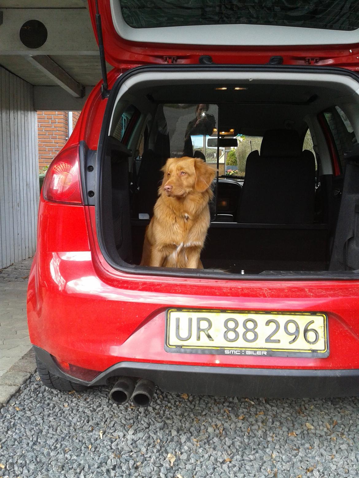 Seat Altea FR *SOLGT* - Altea med "tilbehør" :0) billede 7