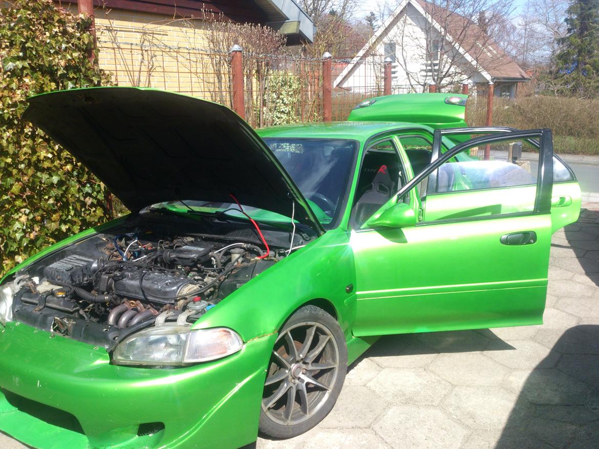 Honda Civic (NYT LIV!) billede 2