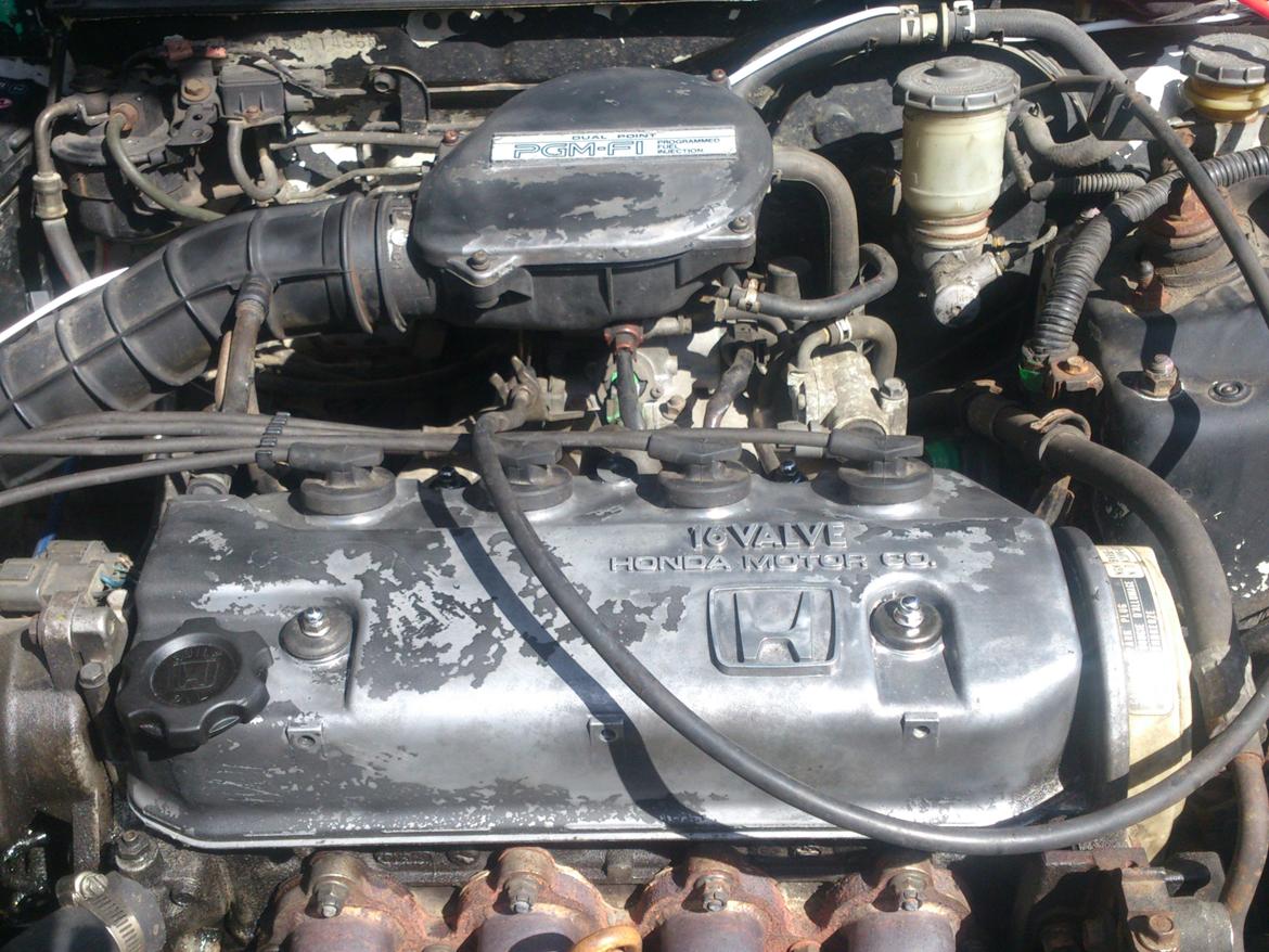 Honda Civic (NYT LIV!) billede 4