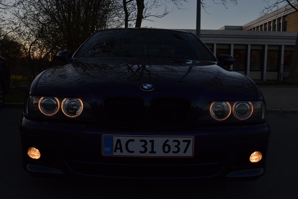 BMW E39 544i billede 11