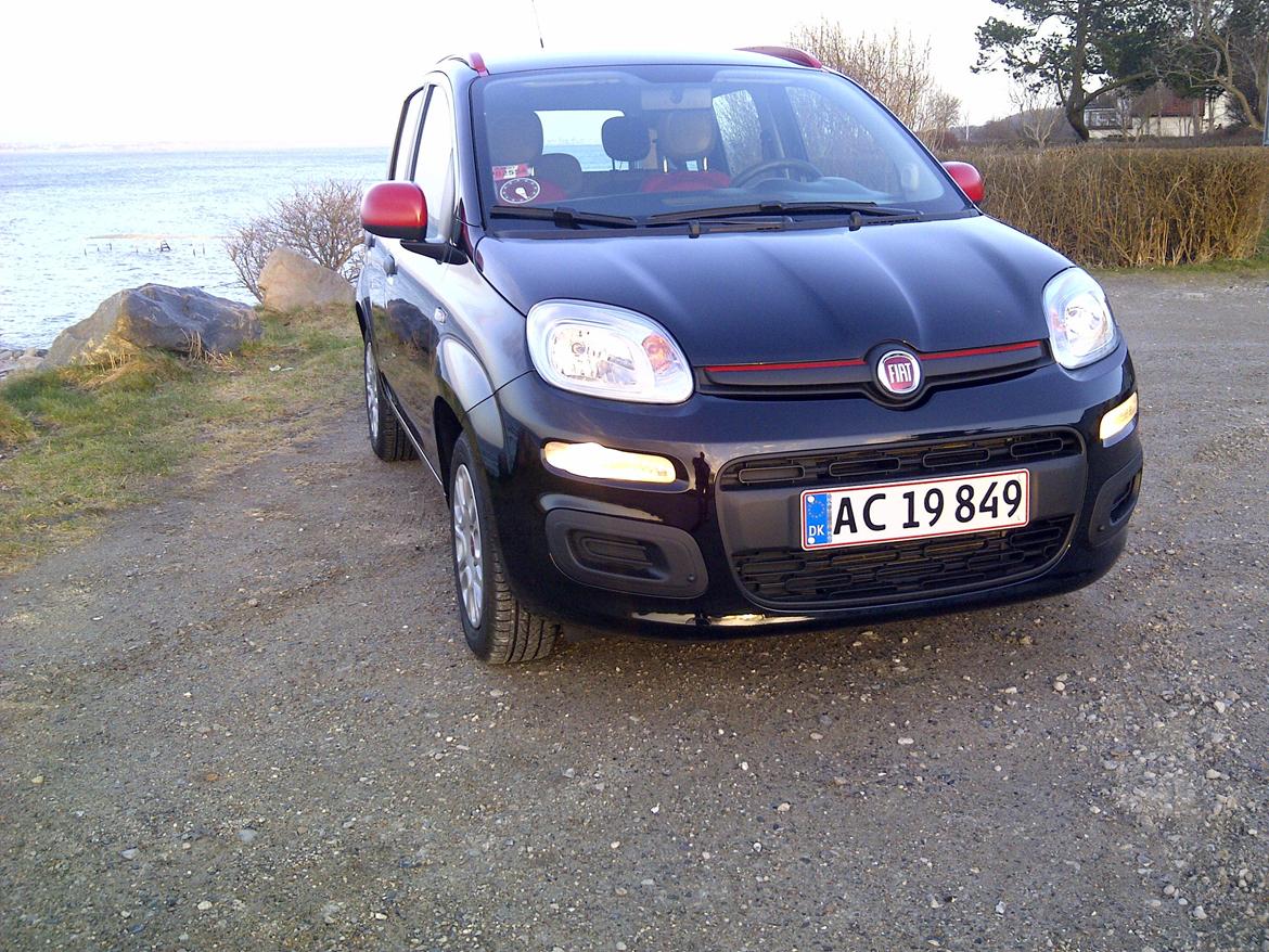 Fiat Panda 1,2 Valore - Nu med røde spejle og røde tagræling billede 14