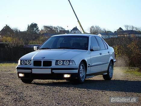 BMW 318i billede 8