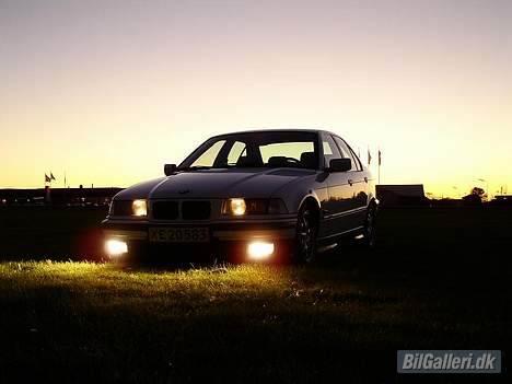 BMW 318i billede 9