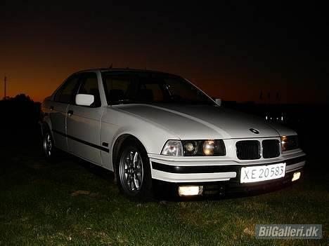 BMW 318i billede 10