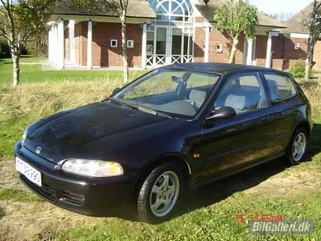 Honda Civic billede 1