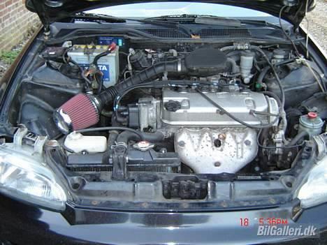 Honda Civic billede 5