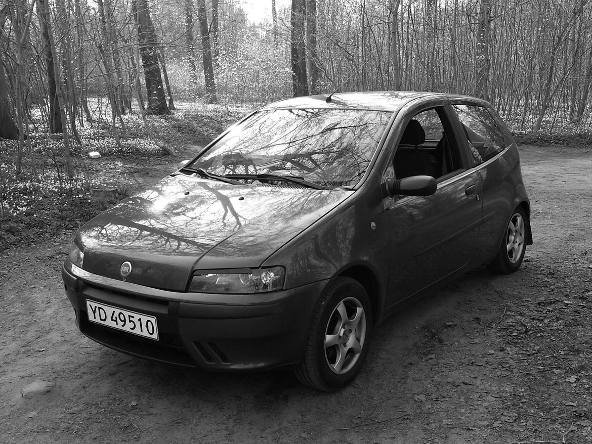 Fiat Punto 1.2 16v ELX - (Tidl. bil) billede 1