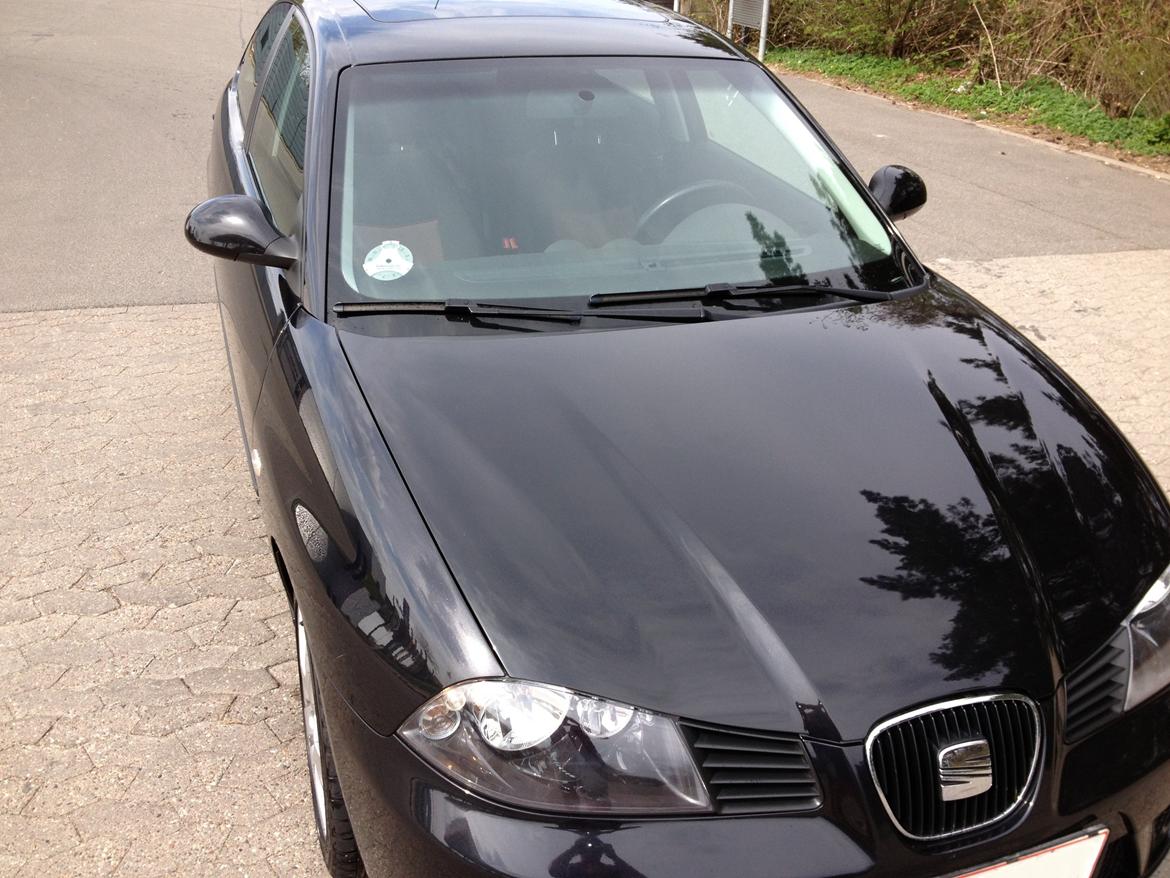 Seat Ibiza Sport billede 3