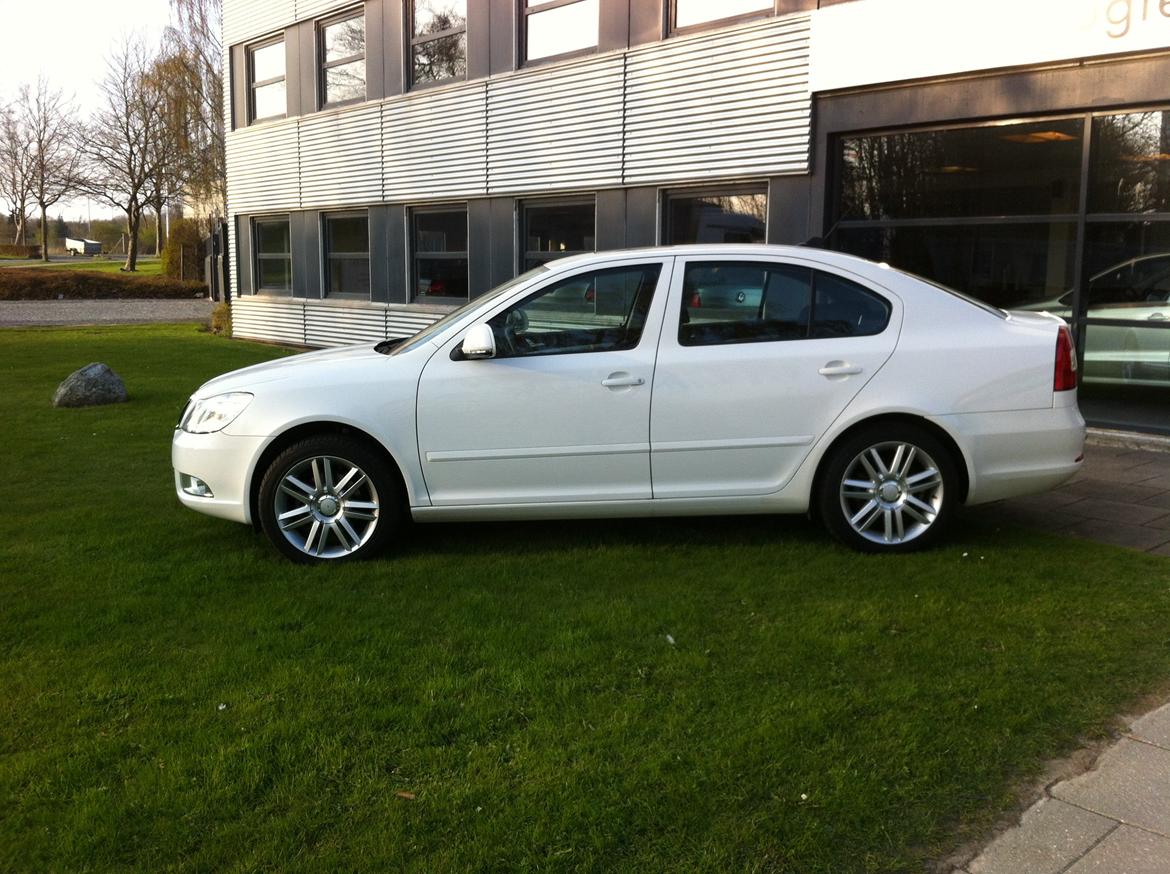 Skoda Octavia 2.0 TDI Ambiente  (SOLGT) billede 10