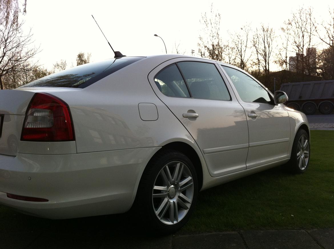 Skoda Octavia 2.0 TDI Ambiente  (SOLGT) billede 11