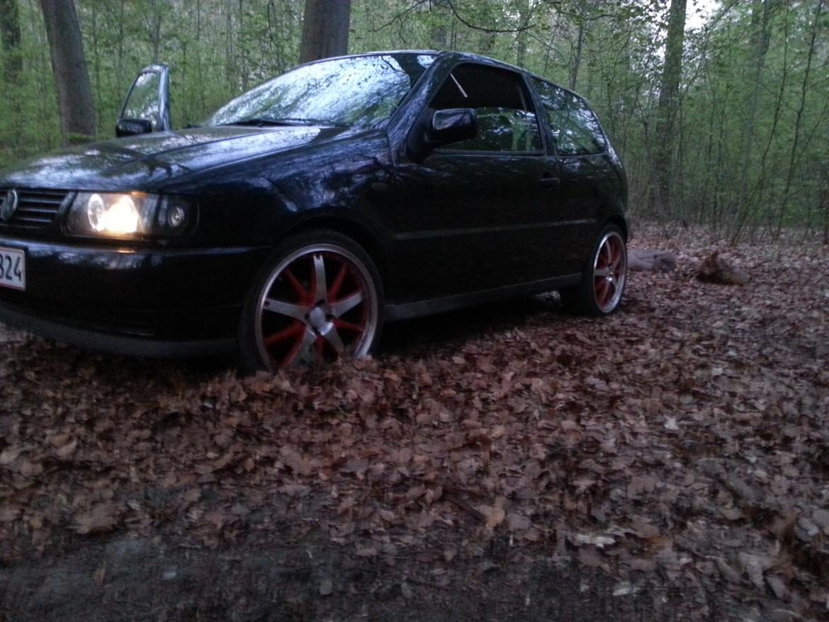 VW polo billede 2