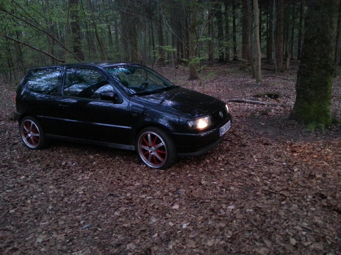 VW polo billede 1