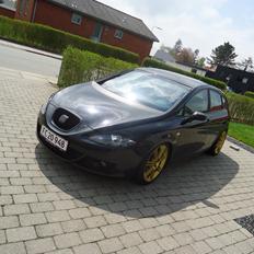 Seat Leon " MYGGEN"